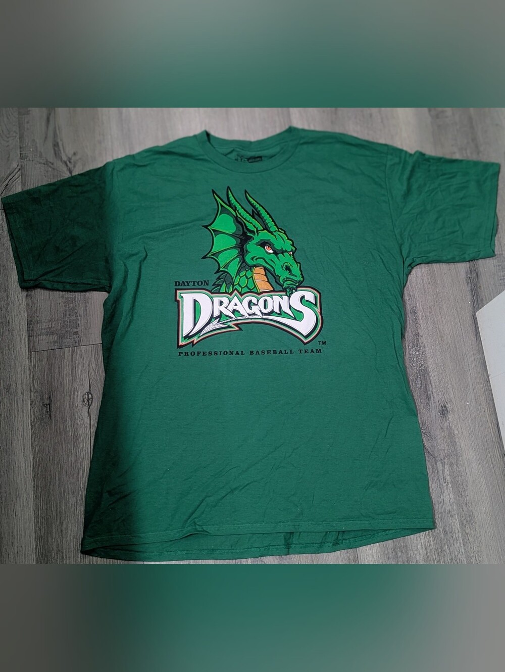 Dayton Dragons Minor League Baseball Team